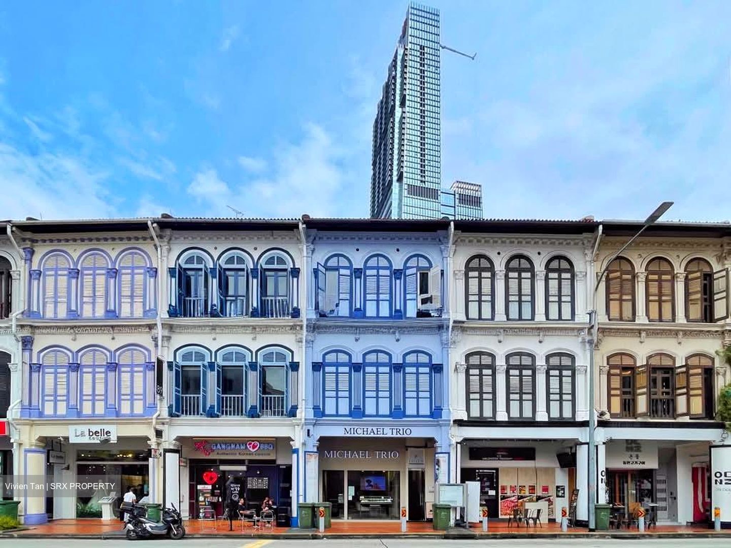 Tanjong Pagar Conservation Area (D2), Shop House #533103551
